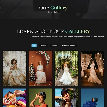 Pixel Photo — Photography agency portfolio with gallery showcase · visual 11